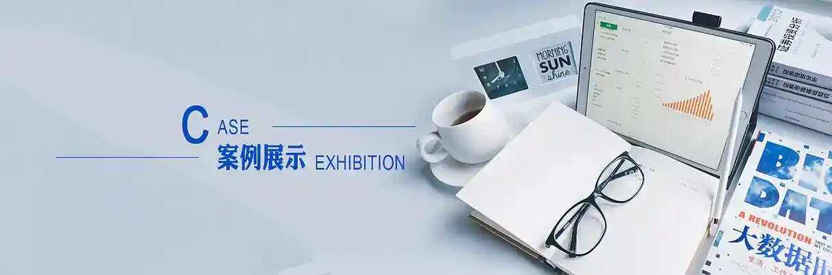 莘县软件开发